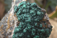 Natural Rare Ball Malachite On Drusy Quartz & Dolomite x 1 From Kambove, Congo