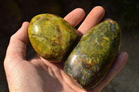 Polished Green Opal Standing Free Forms  x 4 From Antsirabe, Madagascar - TopRock