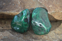 Polished Flower Malachite Free Forms  x 12 From Congo - Toprock Gemstones and Minerals 