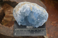 Natural Blue Celestite Crystal Specimens  x 3 From Madagascar - Toprock Gemstones and Minerals 