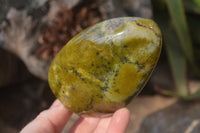 Polished Green Opal Standing Free Forms  x 3 From Antsirabe, Madagascar