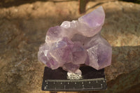 Natural Jacaranda Amethyst Clusters x 2 From Zambia