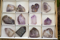 Polished Amethyst / Smokey Amethyst Window Quartz Crystals  x 12 From Akansobe, Madagascar - TopRock