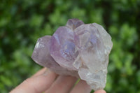 Natural Jacaranda Amethyst Clusters  x 6 From Mumbwa, Zambia - Toprock Gemstones and Minerals 