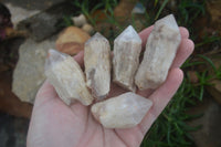 Natural Single Pineapple Quartz Crystals  x 35 From Antsirabe, Madagascar - Toprock Gemstones and Minerals 