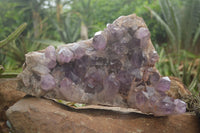 Natural Large Amethyst Crystal Specimen x 1 From Zambia - TopRock