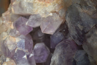 Natural Jacaranda Amethyst Cluster x 1 From Mumbwa, Zambia - TopRock