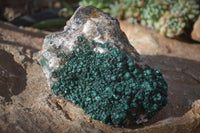 Natural Rare Ball Malachite On Drusy Quartz & Dolomite x 1 From Kambove, Congo