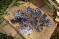 Natural Dark Amethyst Crystal Clusters x 12 From Zambia