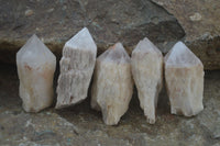 Natural Single Pineapple Quartz Crystals  x 35 From Antsirabe, Madagascar - Toprock Gemstones and Minerals 