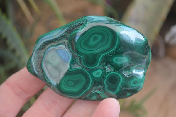 Polished Flower Malachite Free Forms  x 12 From Congo - Toprock Gemstones and Minerals 