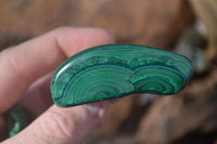 Polished Flower Banded Malachite Free Forms  x 12 From Congo - Toprock Gemstones and Minerals 