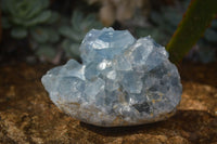 Natural Blue Celestite Crystal Specimens  x 3 From Madagascar - Toprock Gemstones and Minerals 