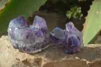 Natural Small Dark Amethyst Clusters x 12 From Zambia