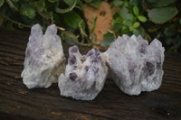 Natural Sugar Amethyst Clusters  x 3 From Zambia