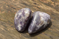 Polished Purple Lepidolite Mica Free Forms  x 6 From Zimbabwe - TopRock