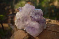 Natural Jacaranda Amethyst Clusters x 2 From Zambia