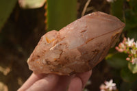 Natural Red Hematoid Phantom Quartz Specimens x 3 From Karoi, Zimbabwe