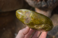 Polished Green Opal Standing Free Forms  x 3 From Antsirabe, Madagascar