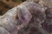 Natural Large Amethyst Crystal Specimen x 1 From Zambia - TopRock