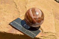 Polished Petrified Red Podocarpus Wood Spheres  x 6 From Madagascar - TopRock