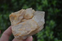 Natural Cascading White Phantom Smokey Quartz Specimens  x 6 From Luena, Congo - Toprock Gemstones and Minerals 