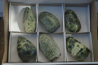 Polished Leopard Stone Standing Free Forms x 6 From Zimbabwe