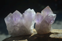 Natural Jacaranda Amethyst Clusters  x 6 From Mumbwa, Zambia - Toprock Gemstones and Minerals 