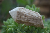 Natural Single Pineapple Quartz Crystals  x 35 From Antsirabe, Madagascar - Toprock Gemstones and Minerals 