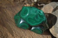 Polished Flower Banded Malachite Free Forms  x 12 From Congo - Toprock Gemstones and Minerals 