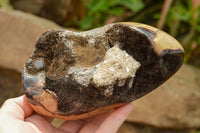 Polished Septerye Sauvage "Dragons Egg" Standing Free Forms  x 2 From Mahajanga, Madagascar - TopRock