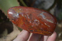 Polished Red Flame Jasper Standing Free Forms  x 6 From Madagascar