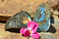 Polished Labradorite Standing Free Forms With Intense Blue & Gold Flash x 2 From Sakoany, Madagascar - TopRock