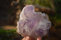 Natural Jacaranda Amethyst Clusters x 2 From Zambia