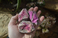 Natural Salrose Cobaltion Dolomite Specimens x 12 From Kakanda, Congo