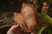 Natural Red Hematoid Phantom Quartz Specimens x 3 From Karoi, Zimbabwe