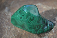 Polished Flower Malachite Free Forms  x 12 From Congo - Toprock Gemstones and Minerals 