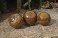 Polished Ocean Jasper Spheres  x 3 From Madagascar