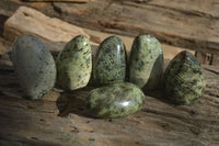 Polished Leopard Stone Standing Free Forms x 6 From Zimbabwe