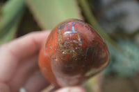 Polished Red Flame Jasper Standing Free Forms  x 6 From Madagascar