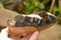 Polished Septerye Sauvage "Dragons Egg" Standing Free Forms  x 2 From Mahajanga, Madagascar - TopRock