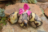 Polished Septaria Dragon's Eggs (Calcite & Aragonite) x 3 From Mahajanga, Madagascar - TopRock