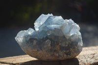 Natural Blue Celestite Crystal Specimens  x 3 From Madagascar - Toprock Gemstones and Minerals 