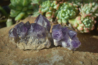 Natural Small Dark Amethyst Clusters x 12 From Zambia