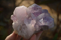 Natural Jacaranda Amethyst Clusters x 2 From Zambia