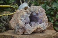 Natural Jacaranda Amethyst Cluster x 1 From Mumbwa, Zambia - TopRock