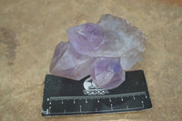 Natural Jacaranda Amethyst Clusters  x 6 From Mumbwa, Zambia - Toprock Gemstones and Minerals 