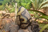 Polished Septaria Dragon's Eggs (Calcite & Aragonite) x 3 From Mahajanga, Madagascar - TopRock