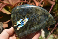 Polished Labradorite Standing Free Forms With Intense Blue & Gold Flash x 2 From Sakoany, Madagascar - TopRock