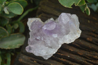 Natural Jacaranda Amethyst Clusters  x 6 From Mumbwa, Zambia - Toprock Gemstones and Minerals 